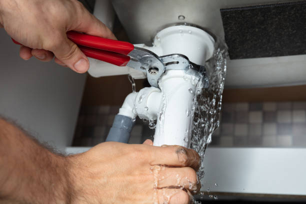 Best Water damage restoration insurance claims  in Tarkio, MO