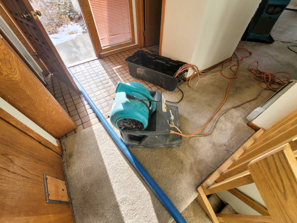 Best Water damage restoration near me  in Tarkio, MO