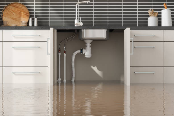 Best Professional water damage repair  in Tarkio, MO
