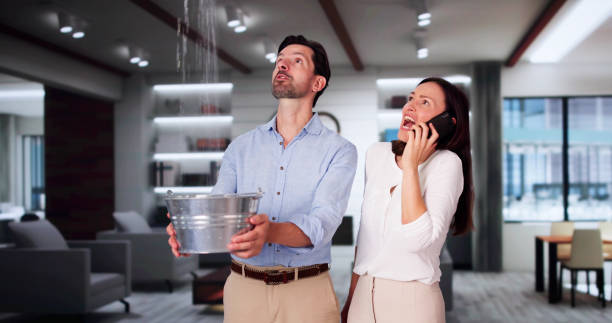 Best Commercial water damage restoration  in Tarkio, MO